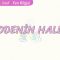 MADDENİN HALLERİ