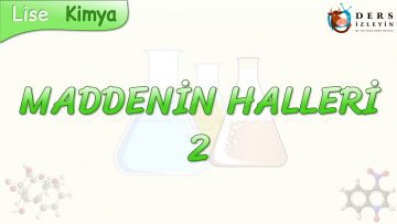 MADDENİN HALLERİ – 2