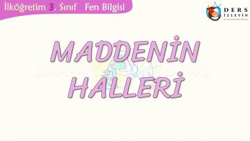 MADDENİN HALLERİ