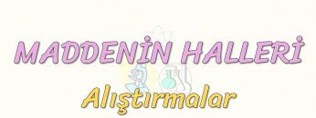 MADDENİN HALLERİ-ALIŞTIRMALAR