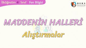 MADDENİN HALLERİ-ALIŞTIRMALAR