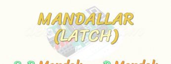 MANDALLAR / S-R MANDALI – D MANDALI