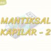 MANTIKSAL KAPILAR – 2 / VE – VEYA KAPISI