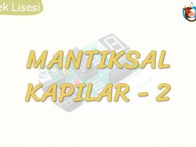 MANTIKSAL KAPILAR – 2 / VE – VEYA KAPISI