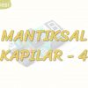 MANTIKSAL KAPILAR – 4 / TAMPON – ÖZEL VEYA – ÖZEL VEYA DEĞİL KAPISI