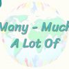 Many – Much – A Lot Of 37. Ders