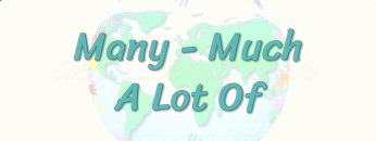 Many – Much – A Lot Of 37. Ders