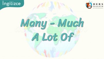 Many – Much – A Lot Of 37. Ders