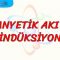 MANYETİK AKI VE İNDÜKSİYON
