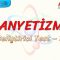 MANYETİZMA / GELİŞTİRİCİ TEST – 2