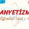 MANYETİZMA / ÖĞRETİCİ TEST – 1