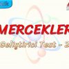 MERCEKLER / GELİŞTİRİCİ TEST – 2