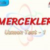MERCEKLER / UZMAN TEST – 1
