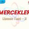 MERCEKLER / UZMAN TEST – 2