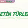 METİN TÜRLERİ