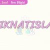 MIKNATISLAR