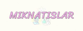 MIKNATISLAR