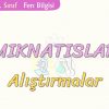 MIKNATISLAR-ALIŞTIRMALAR