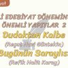 MİLLİ EDEBİYAT DÖNEMİNDEKİ ÖNEMLİ YAPITLAR – 2