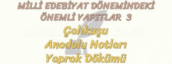 MİLLİ EDEBİYAT DÖNEMİNDEKİ ÖNEMLİ YAPITLAR – 3