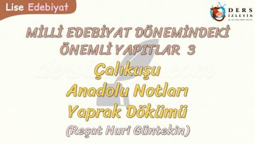 MİLLİ EDEBİYAT DÖNEMİNDEKİ ÖNEMLİ YAPITLAR – 3