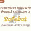 MİLLİ EDEBİYAT DÖNEMİNDEKİ ÖNEMLİ YAPITLAR – 5