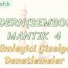 MODERN MANTIK – 4 / ÇÖZÜMLEYİCİ ÇİZELGE İLE DENETLEMELER