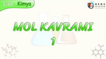 MOL KAVRAMI – 1