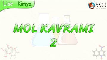 MOL KAVRAMI – 2