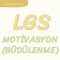 MOTİVASYON-LGS
