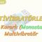 MULTİVİBRATÖRLER -1 / MONOSTABLE MULTİVİBRATÖR