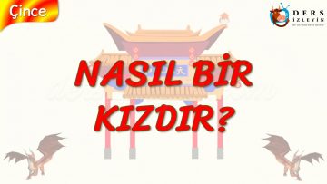 NASIL BİR KIZDIR? (ÇİNCE) 86. DERS