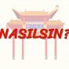 NASILSIN? (ÇİNCE) 22. DERS
