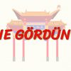 NE GÖRDÜN? (ÇİNCE) 95. DERS