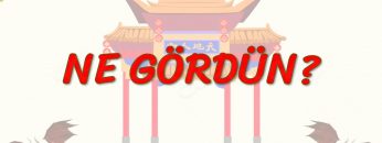 NE GÖRDÜN? (ÇİNCE) 95. DERS