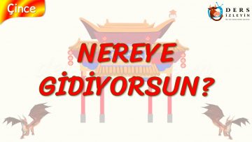 NEREYE GİDİYORSUN (ÇİNCE) 41. DERS