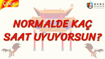 NORMALDE KAÇ SAAT UYUYORSUN? (ÇİNCE) 59. DERS