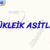 NÜKLEİK ASİTLER