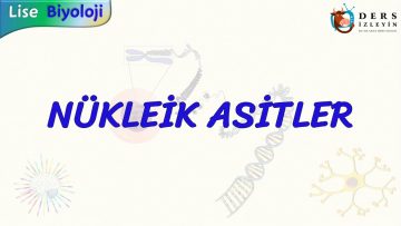NÜKLEİK ASİTLER