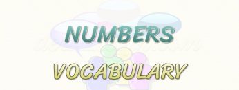 NUMBERS / VOCABULARY