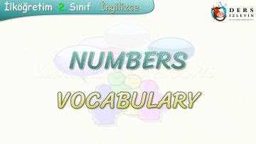 NUMBERS / VOCABULARY