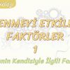 ÖĞRENMEYİ ETKİLEYEN FAKTÖRLER -1 / ÖĞRENENİN KENDİSİYLE İLGİLİ FAKTÖRLER