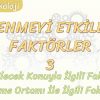 ÖĞRENMEYİ ETKİLEYEN FAKTÖRLER – 3 / ÖĞRENİLECEK KONUYLA VE ÖĞRENME ORTAMIYLA İLGİLİ FAKTÖRLER