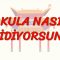 OKULA NASIL GİDİYORSUN? (ÇİNCE) 84. DERS