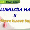 OKULUMUZDA HAYAT – 3 / BİRLİKTEN KUVVET DOĞAR