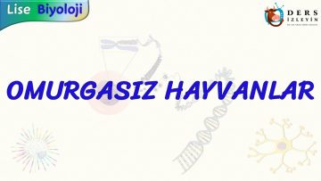 OMURGASIZ HAYVANLAR