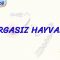 OMURGASIZ HAYVANLAR