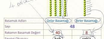 ONLUKLAR VE BİRLİKLER