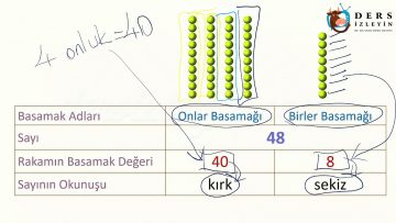 ONLUKLAR VE BİRLİKLER