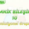 ORGANİK BİLEŞİKLER – 10 / FONKSİYONEL GRUPLAR